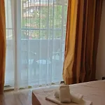 библиотеката بوموري
